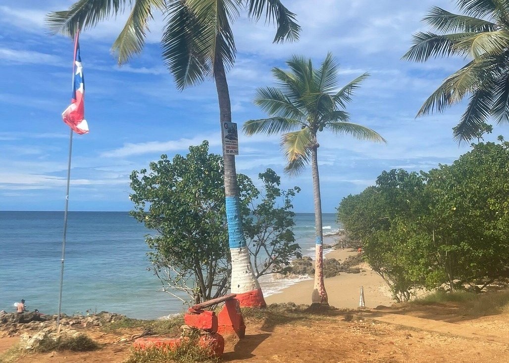 Pena Blanca Beach Borinquen Puerto Rico Palm Tree Flag